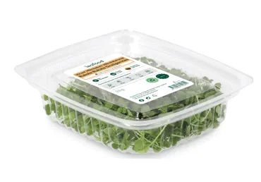 Mikrozaļumi Rukola LEAFOOD 25g