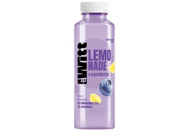 Negāzēts dzēriens DR WITT citronu-melleņu 0,55L D