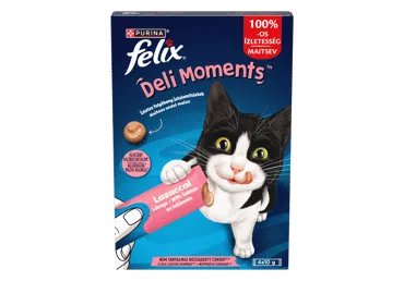 Papildbarība pieaugušam kaķim ar lasi FELIX 40g