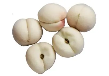 Persiki baltie kg