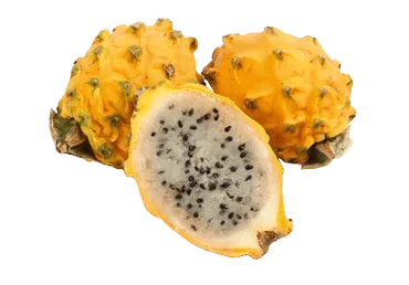 Pitaija dzeltena gab.