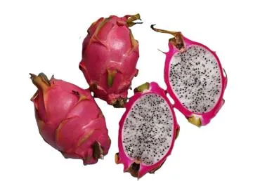 Pitaija sarkana gab.