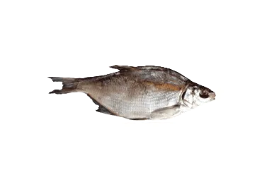 Plaudis vītināts fas. kg