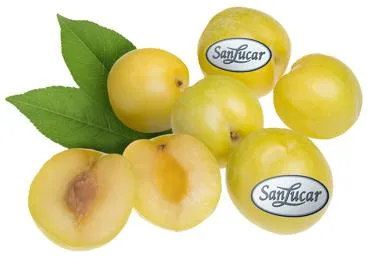 Plūmes dzeltenās kg