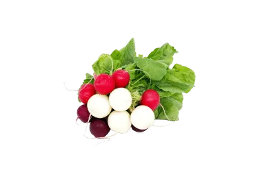 Redīsi krāsainie buntītē ar lapām gab.
