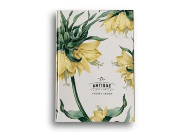 Rūtiņu klade A4 80l. 70gsm