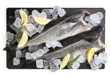 Saida bez galvas atdzesēta kg