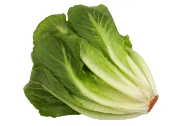 Salāti Cosberg gab.