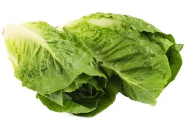 Salāti ROMIEŠU gab.