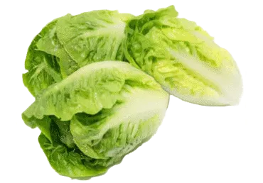 Salāti romiešu mazie GREEN GEM gab.