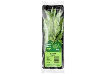 Salvija WELL DONE 20g