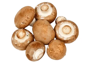 Šampinjoni brūnie kg