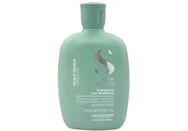 Šampūns ALFAPARF MILANO Energizing 250ml
