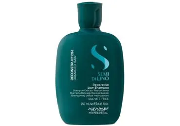 Šampūns ALFAPARF MILANO Reparative 250ml