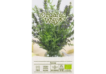 Sēklas. Ārstnieciskais izops gab.