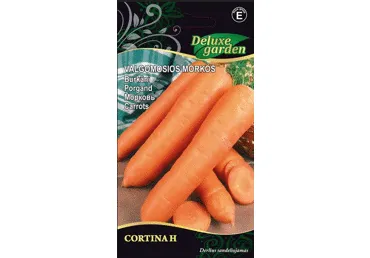Sēklas: Burkāni CORTINA H gab.