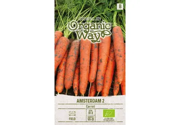 Sēklas: Burkāni galda AMSTERDAM 2 gab.