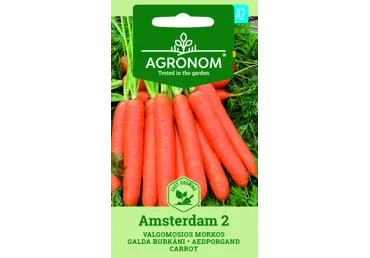 Sēklas: Burkāni galda AMSTERDAMMER 2