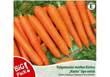 Sēklas: Burkāni KORINA gab.