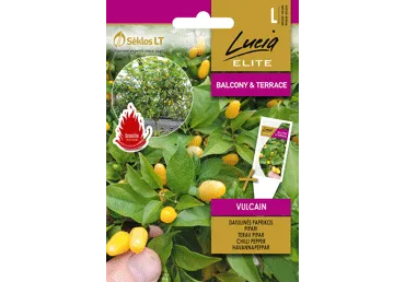 Sēklas. Čili pipari VULCAIN gab.