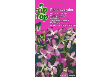 Sēklas: Divragu lefkoja PINK LAVENDE gb.