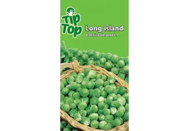 Sēklas: Kāposti briseles LONG ISLAND gb.
