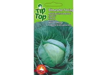 Sēklas: Kāposti DITMARSCHER FORCING gab.