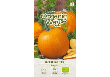 Sēklas. Ķirbis JACK O' LANTERN gab.