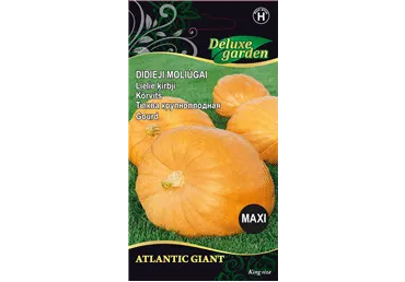 Sēklas: Ķirbjis ATLANTIC GIANT gab.