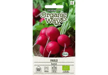 Sēklas: Redīsi PABLO gab.