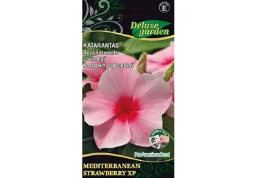 Sēklas: Rozā katarante STRAWBERRY XP gb.