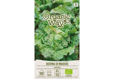 Sēklas: Salāti dārza REGINA DI MAGG gab.