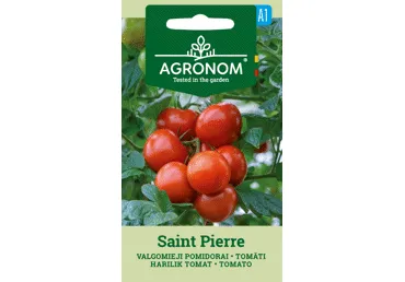 Sēklas: Tomāti SAINT PIERRE gab.