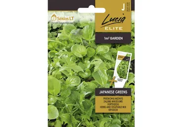 Sēklas: Zaļumu Mix JAPANESE GREENS gab.