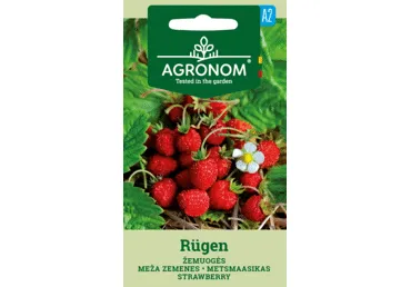 Sēklas: Zemenes RUGEN gab.
