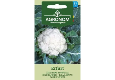 Sēklas: Ziedkāposti ERFURT gab.