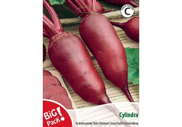 Sēklas.Bietes sarkanās Cylindra gab.