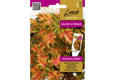 Sēklas.Skaistnātre Colocha Scarlet gab.