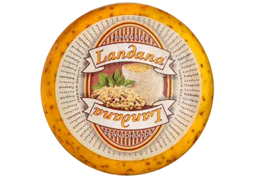 Siers Gouda LANDANA ar Grieķu sierāboliņu kg