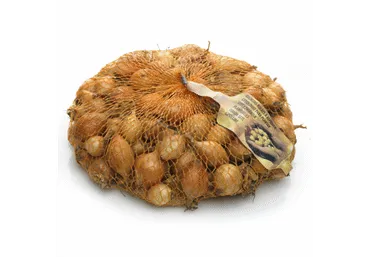 Sīksīpoli dzeltenie Sturon 21-24mm kg