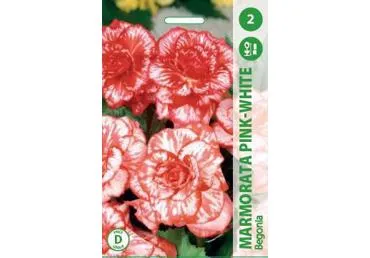 Sīpolp.: Begonijas MARMORATA PINK W 2gb.