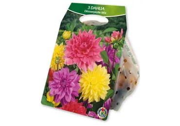 Sīpolpuķe.Dālija dažādi veidi 3gb.