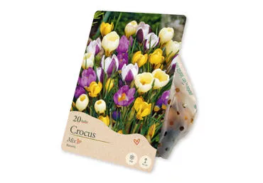 Sīpolpuķes Krokus Botanic Mix 20gab.
