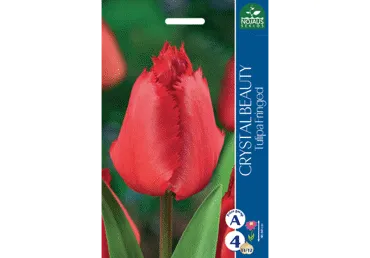 Sīpolpuķes: Tulpes CRYSTAL BEAUTY 4gab.