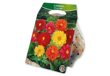 Sīpolpuķes.Dālija dek.Unwin Mix 5gb.