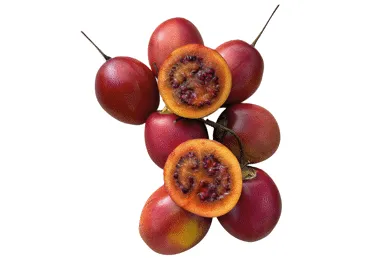 Tamarillo gab.