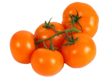 Tomāti oranžie ķekaros kg 1.šķ.