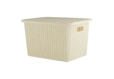 Uzglabāšanas kaste HOME EXPERT 41x27,5x26cm