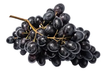 Vīnogas tumšās kg