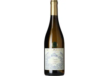 Vīns VILLA PUCCINI Lucia Vino 13% 0,75L